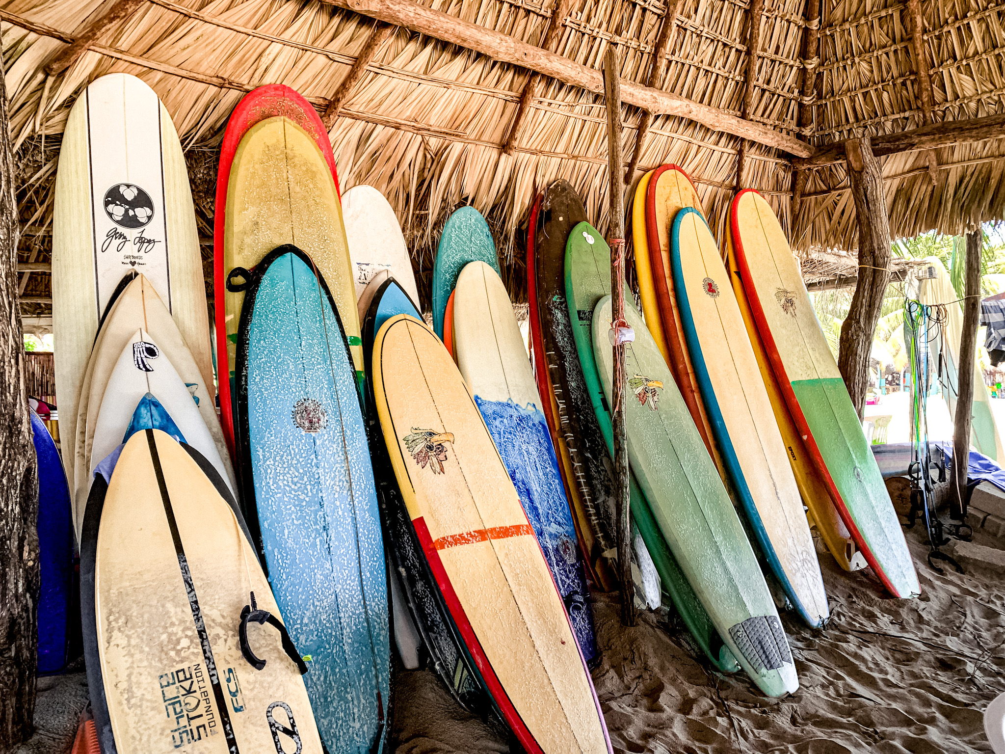 Tropical Cuties Adry Deli